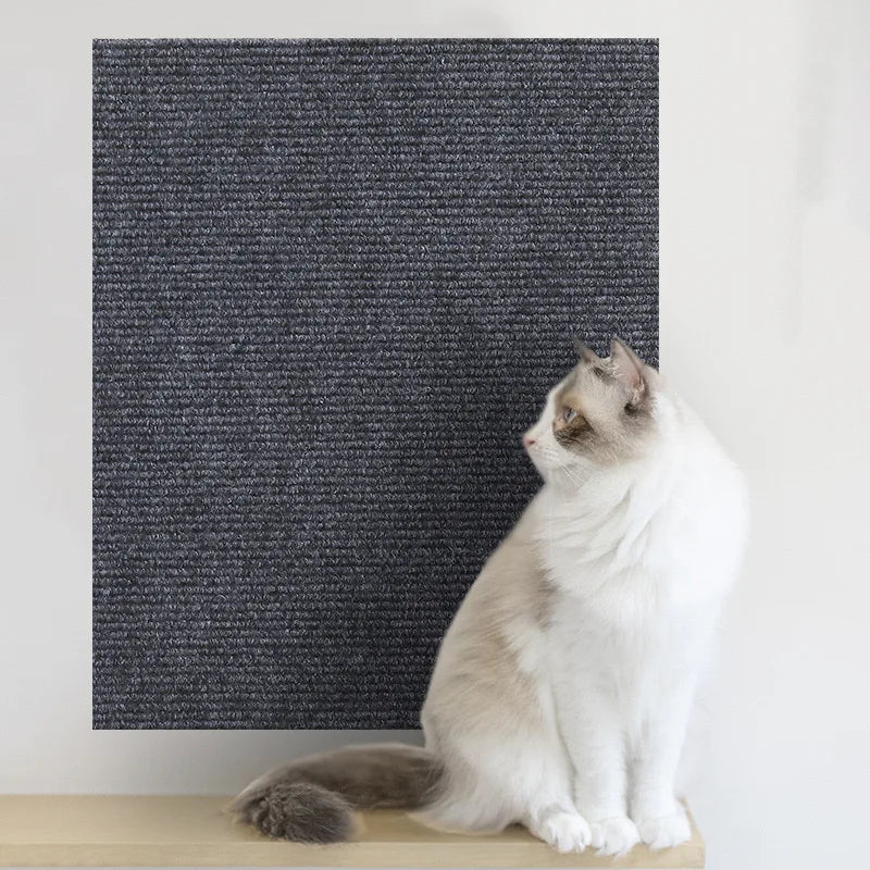 Scratch-Shield Mat Protector for Cats
