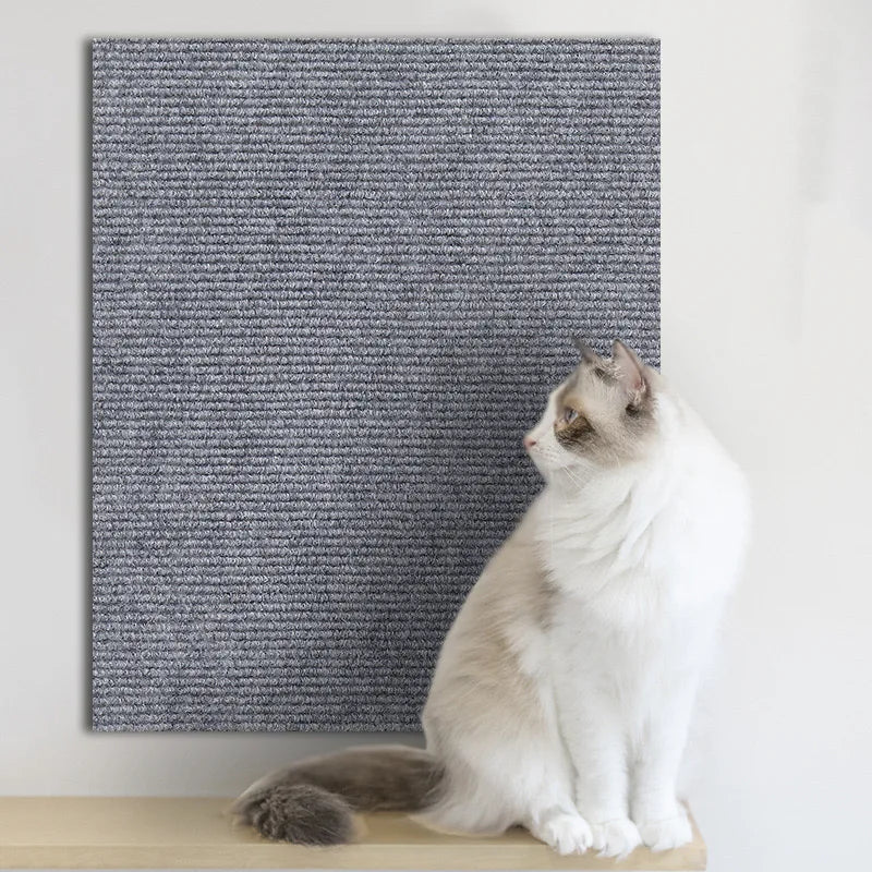 Scratch-Shield Mat Protector for Cats
