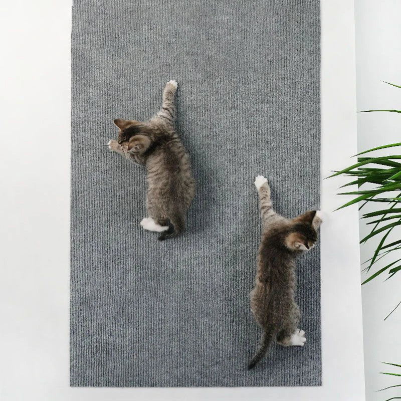 Scratch-Shield Mat Protector for Cats