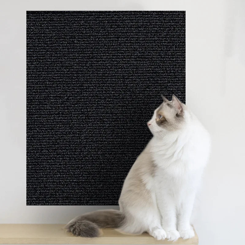 Scratch-Shield Mat Protector for Cats