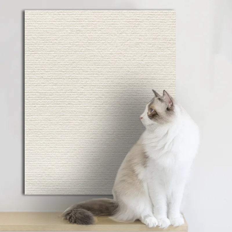 Scratch-Shield Mat Protector for Cats