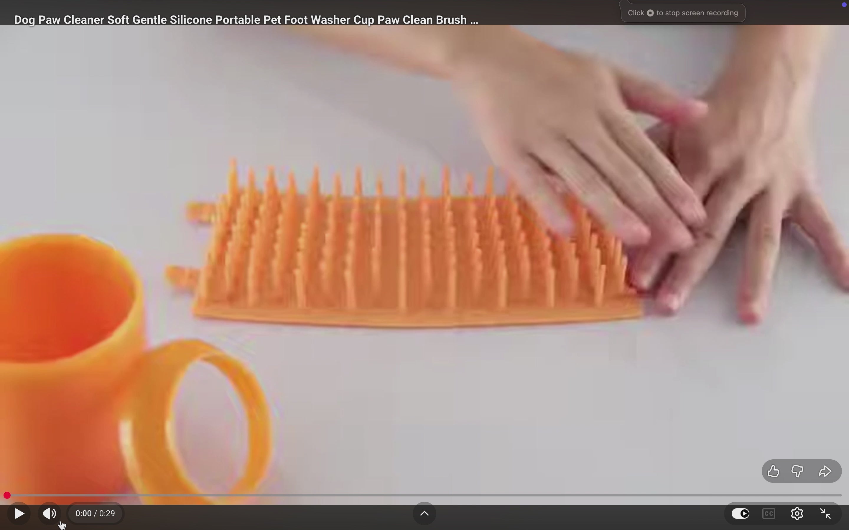 Paw Cleaner Cup