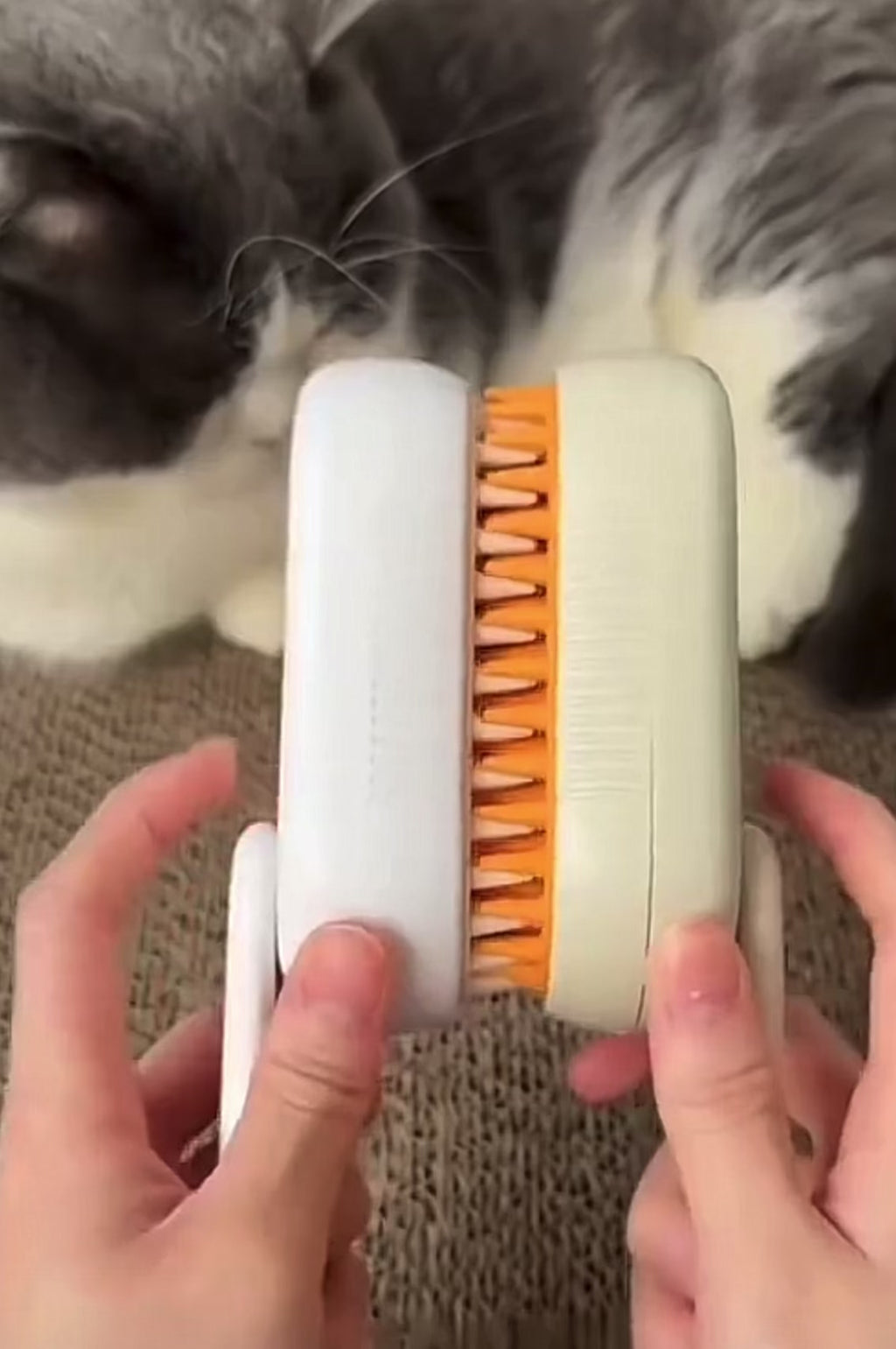 Steam Deshedding Pet Brush